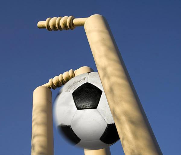 Cricket bat